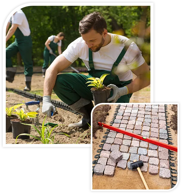 Creating a beautiful garden from scratch