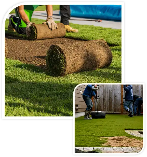 Natural Grass Turfs Rolling Over Inside Residential Backyard. Landscaping Industry Job.