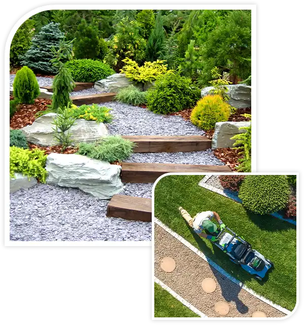Designer garden with fresh plants and stones