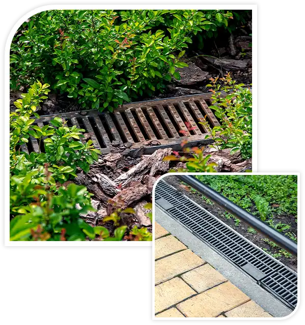 drainage rusty grid in the landscape for the drainage of rainwater in the deciduous bush garden bed