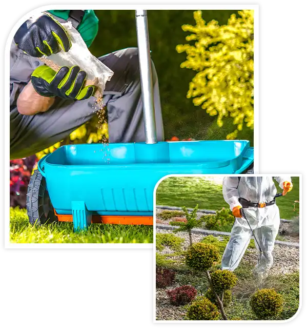 Lawn Spring Fertilization. Caucasian Gardener Resupply His Fertilization Tool.