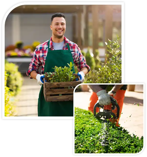 Man working in garden center