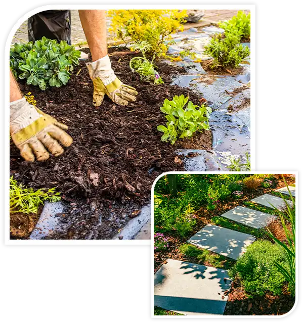 Installing weed control fabric material and bark mulch in a residential garden to control weed spreading