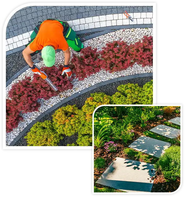 Aerial View of Garden Worker Pruning Small Driveway Area Plants.