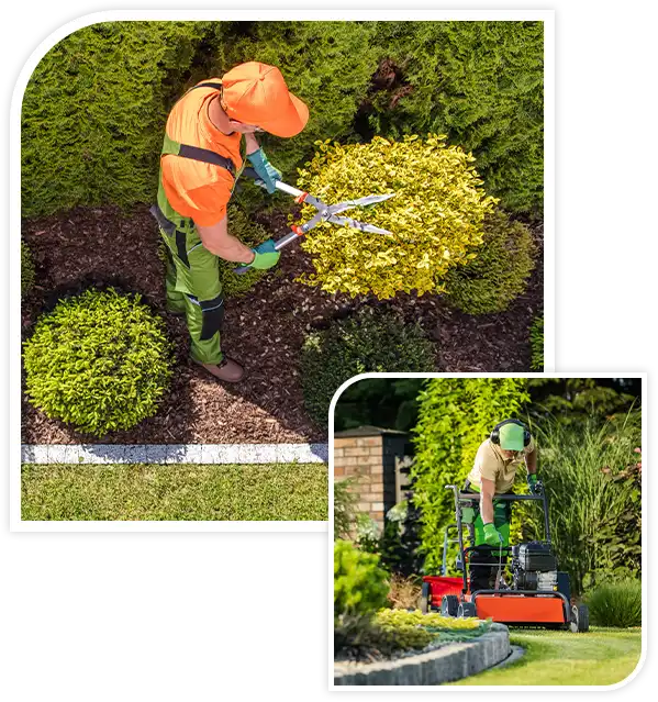 Professional Gardener and the Large Backyard Garden. Top View. Spring Time Maintenance.